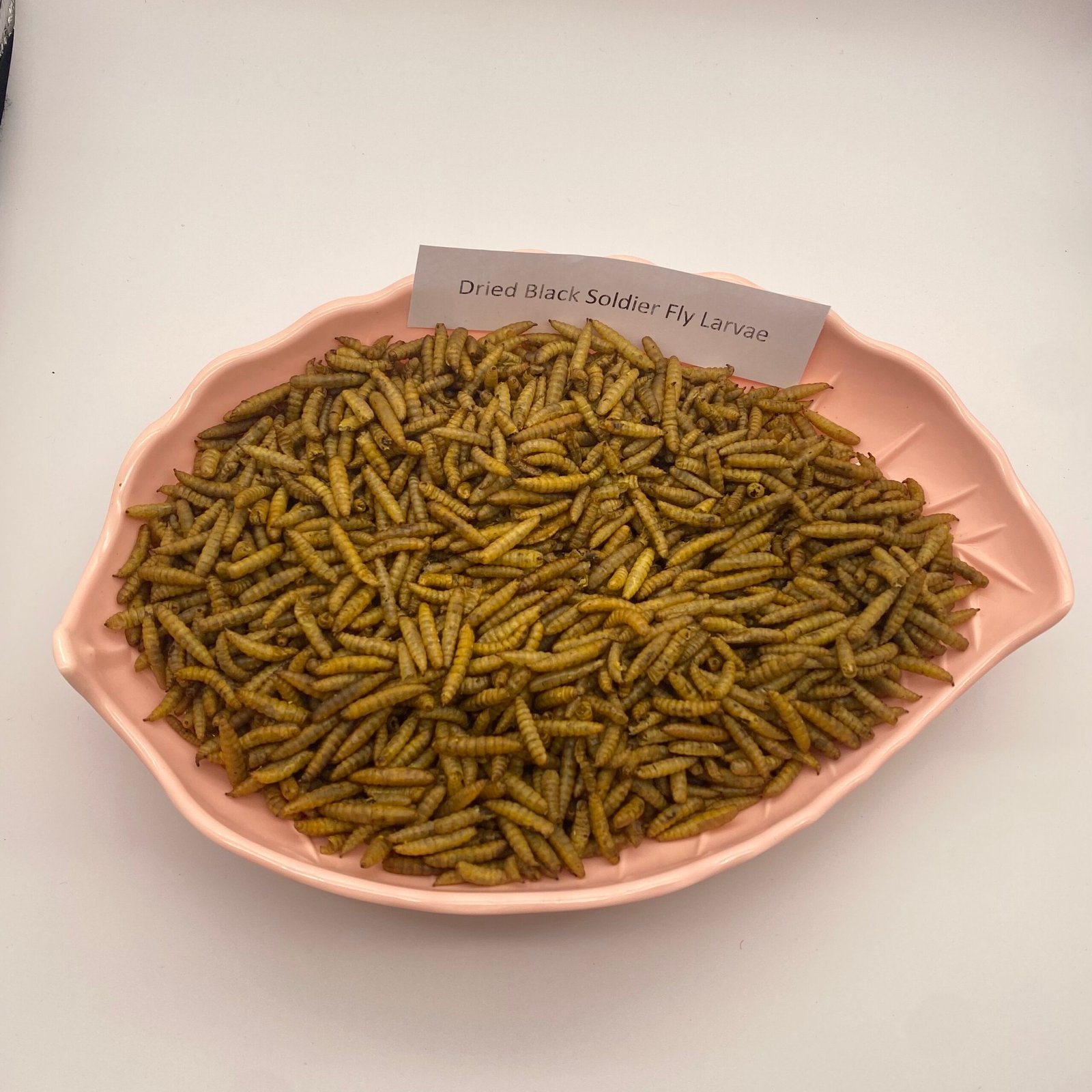 Dried Black Soldier Fly Larvae BSFL for animal feed